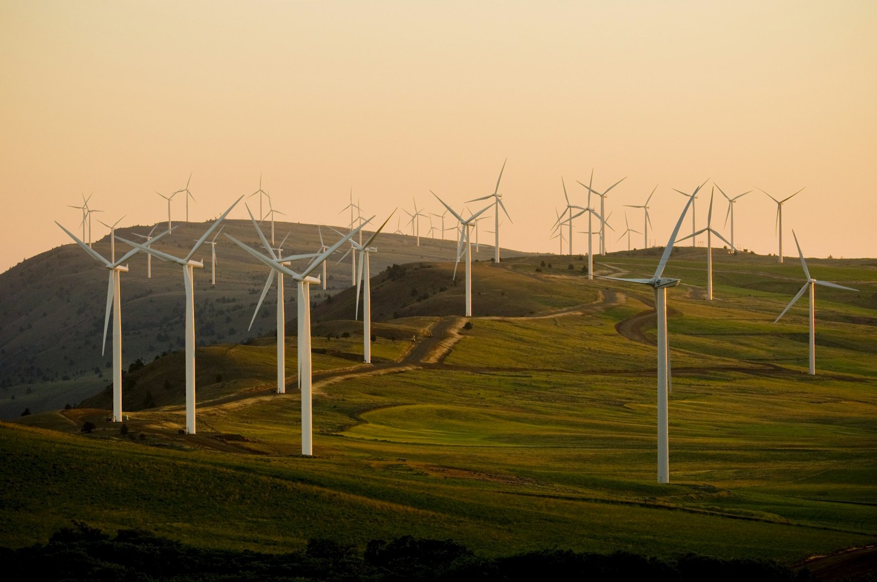 Wind turbines across a green landscape